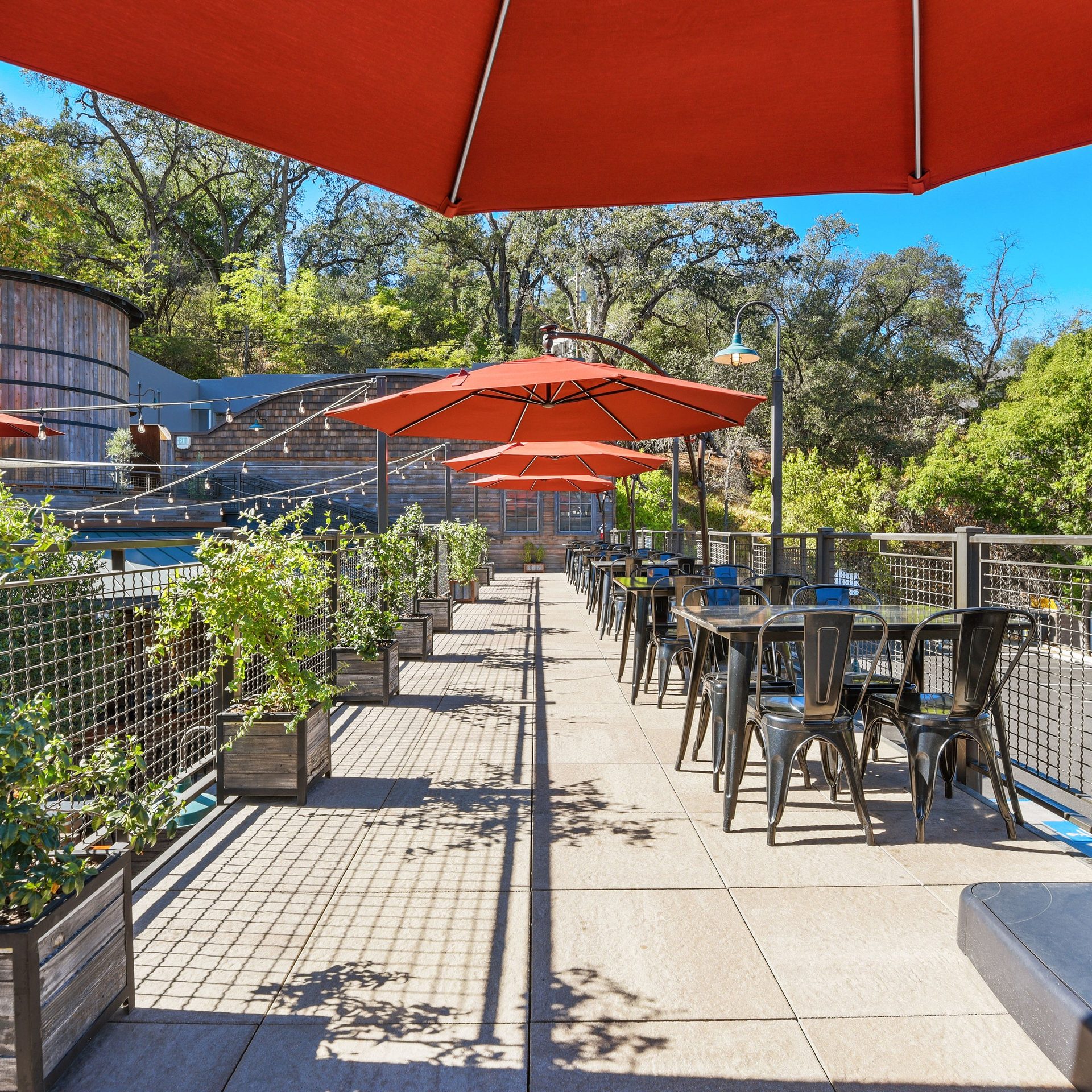 Celebrate on the Rooftop Patio