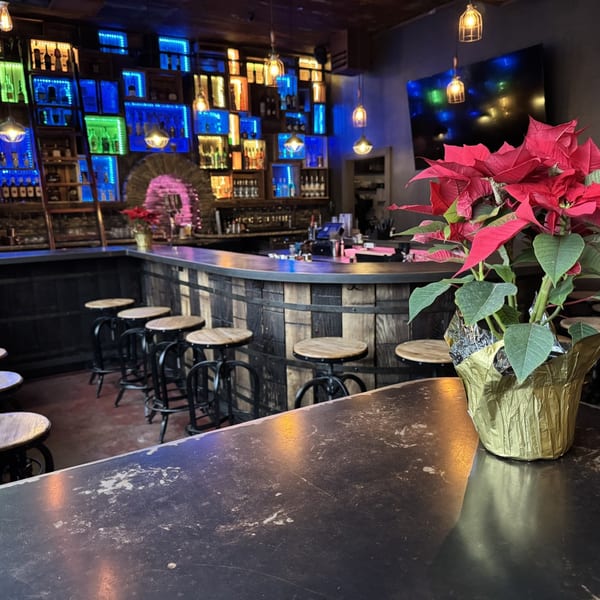 A vibrant bar with colorful backlit shelves of bottles, a wooden bar, and a poinsettia in the foreground.